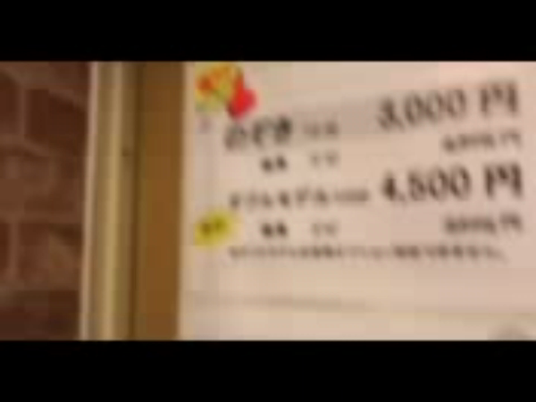 アート姫の求人PR動画